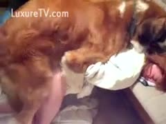 Dog jumped on a redhead